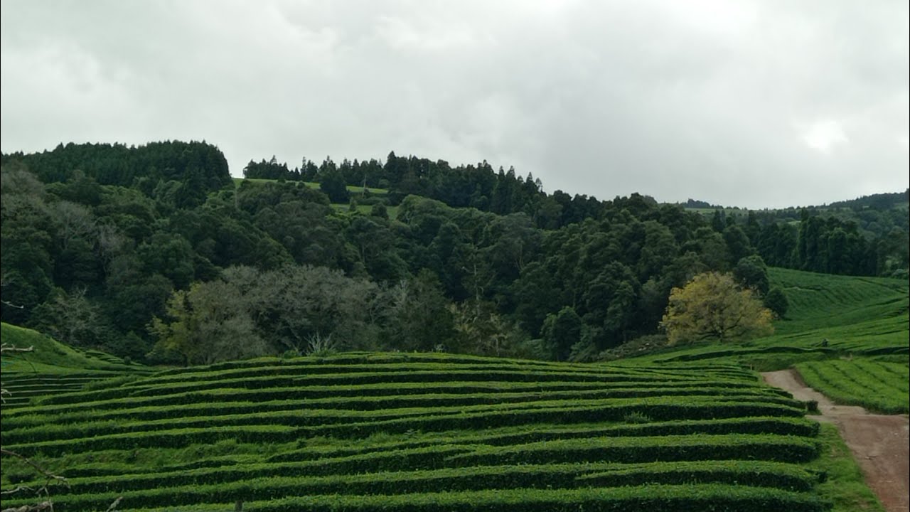 Azorské ostrovy - Sao Miguel