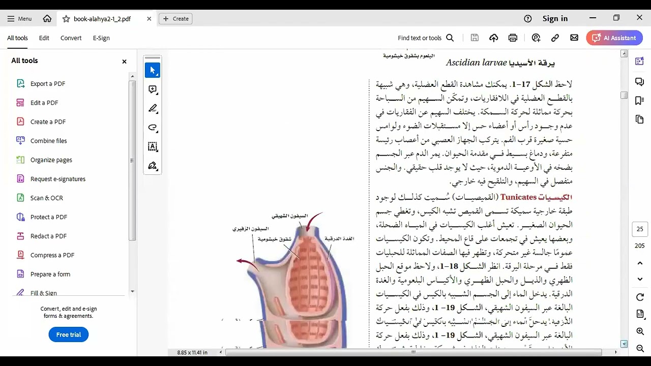 اللافقاريات الحبلية الصف الثاني الثانوي