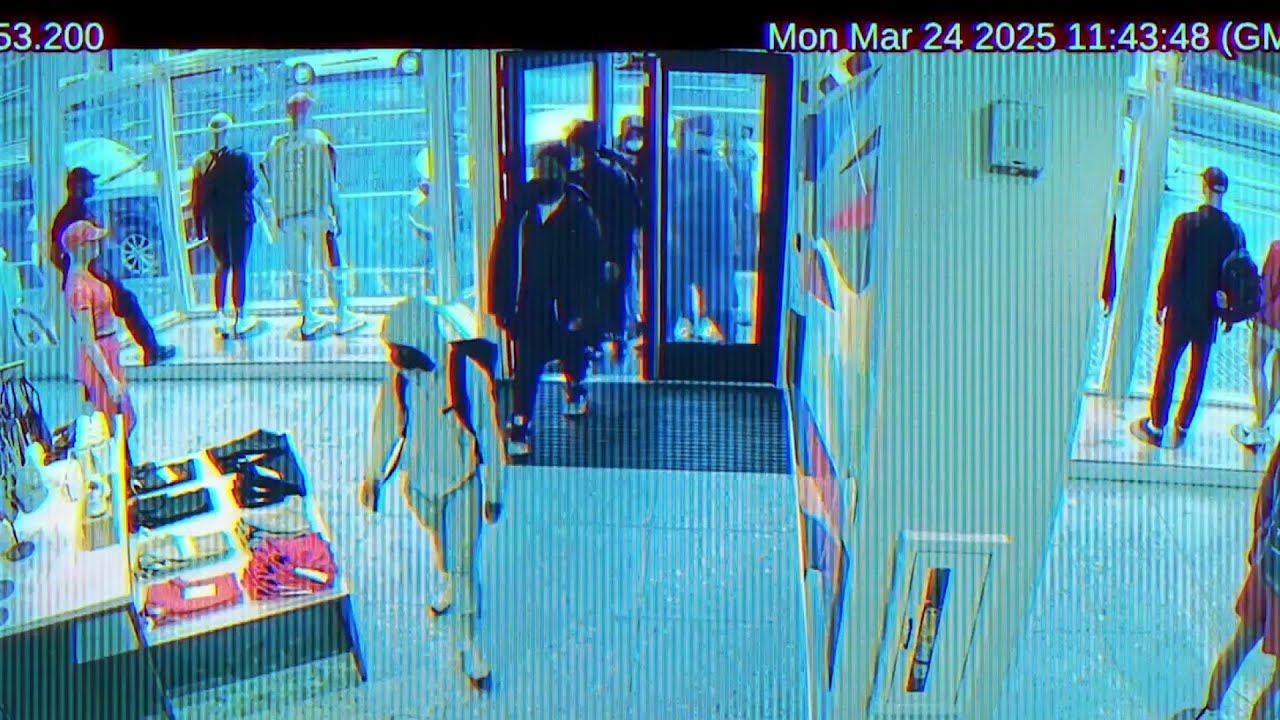 Flash Mob Shoplifting: Lululemon Stores in Houston Targeted Daily