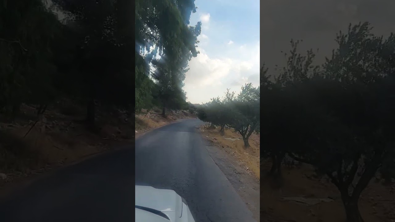 مرج الحمام تصوير احمد الحباشنه