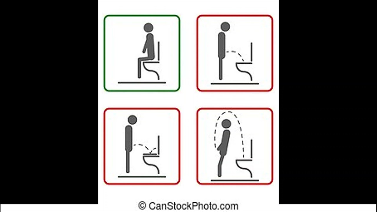 Microsoft Sam reads Weird Toilet Signs - The FIRST