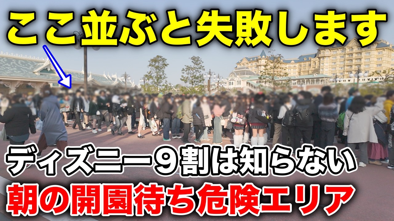 初〜中級者必見!一部のDオタしか知らない要注意点とチケット㊙︎購入術【ディズニー】