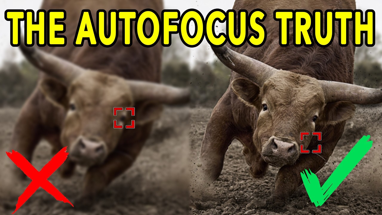 Why Your CAMERA Always Misses FOCUS! How to Fix It