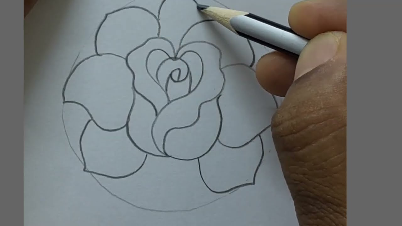 how to drawing flowers Rose 