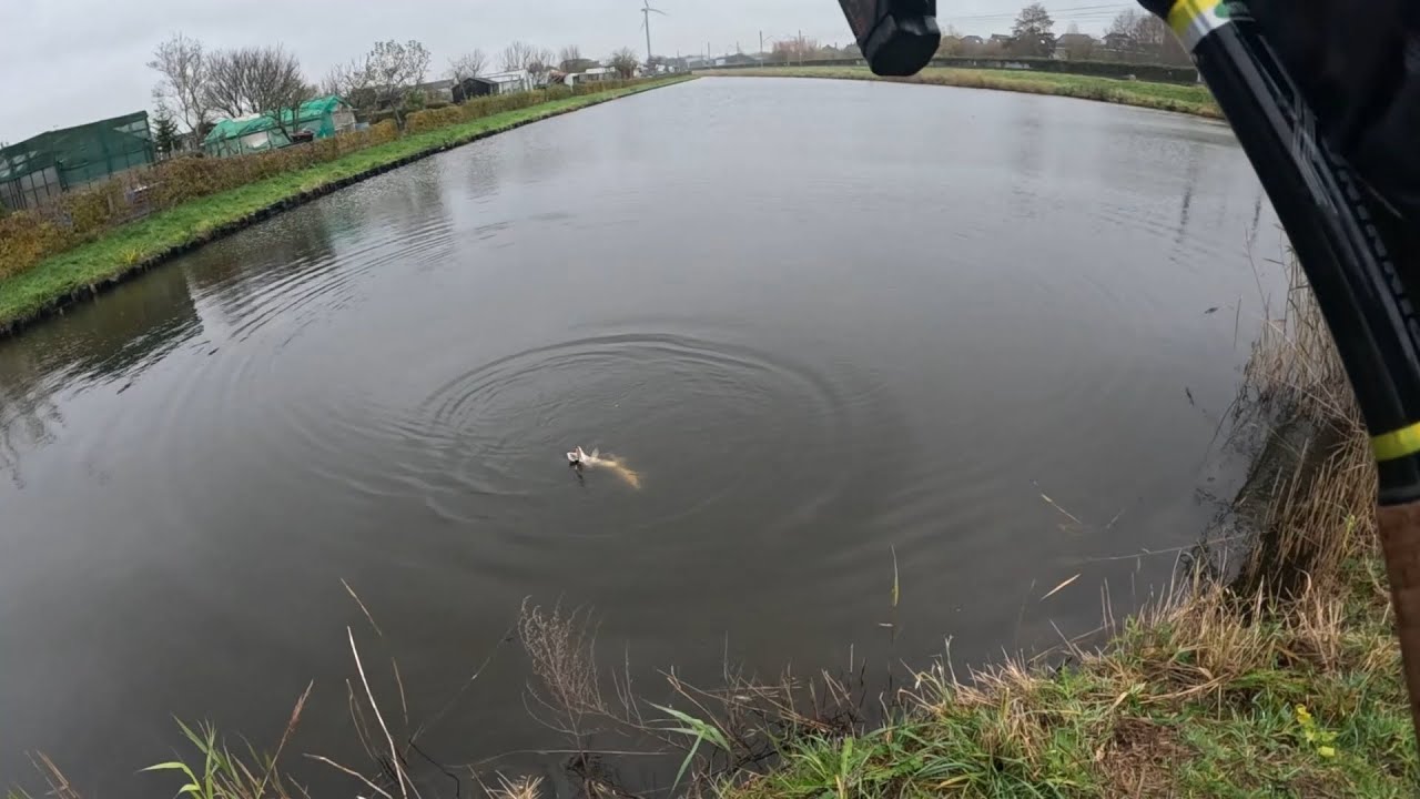 Fishing Adventure #206 (Op zoek naar SNOEK)