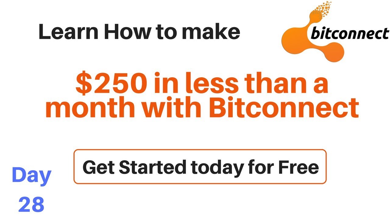 $250 in less that a month on Bitconnect