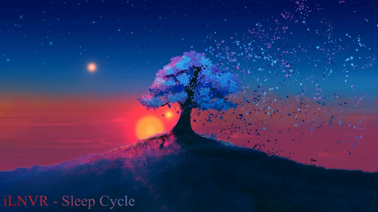 iLNVR - Sleep Cycle