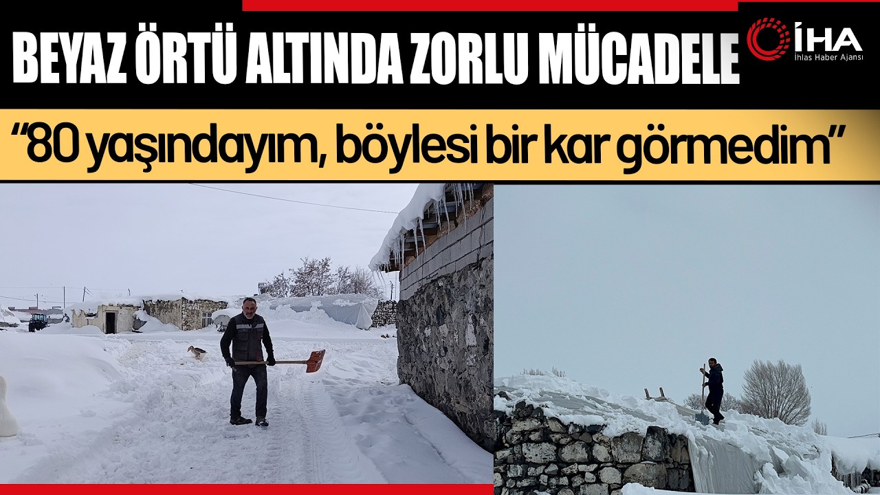 Kars’ta Yoğun Kar Yağışı Nedeniyle Hayvan Barınaklarında Tehlike