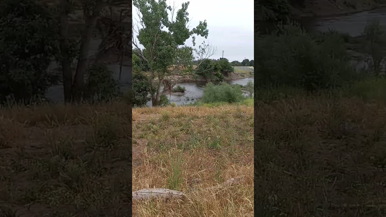 river sound #nature #river #amsr