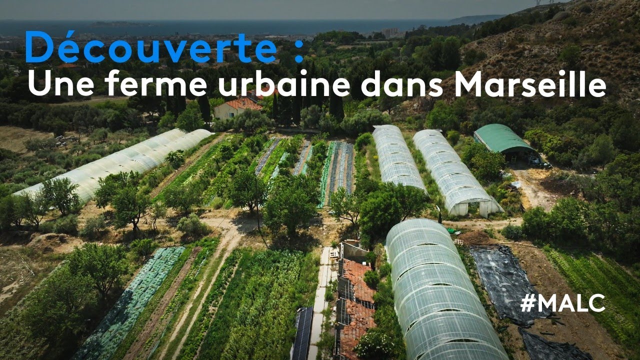 Découverte : une ferme urbaine dans Marseille