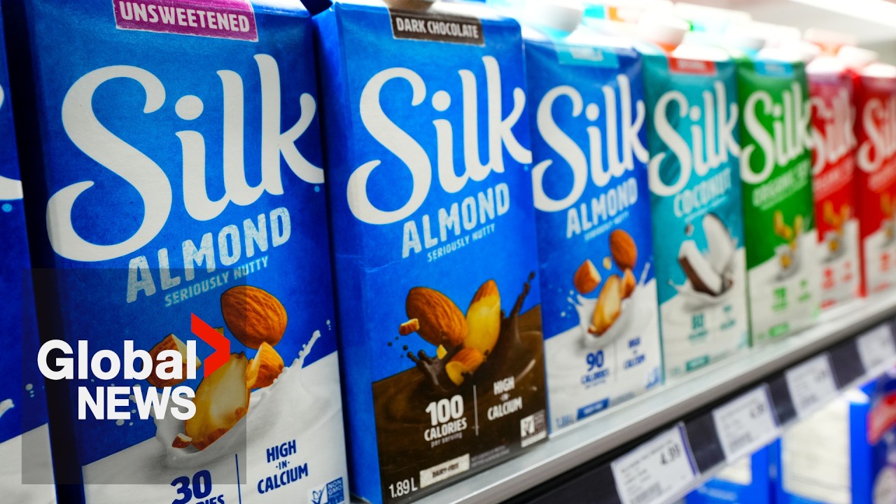 Silk, Great Value plant-based milks recalled in Canada for potential Listeria contamination