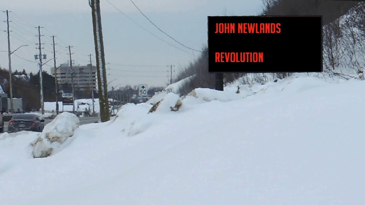 John Newlands - Revolution