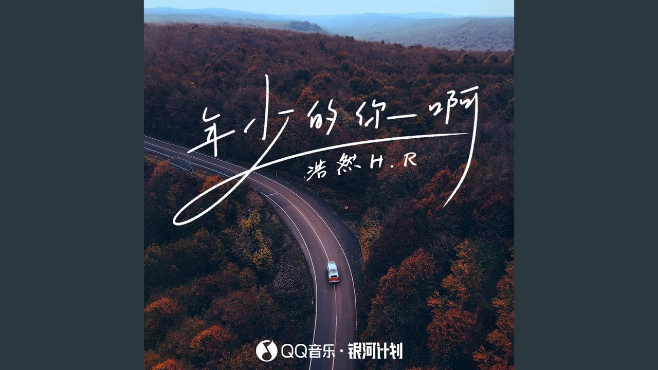 年少的你啊 (DJ九零版0.9x)