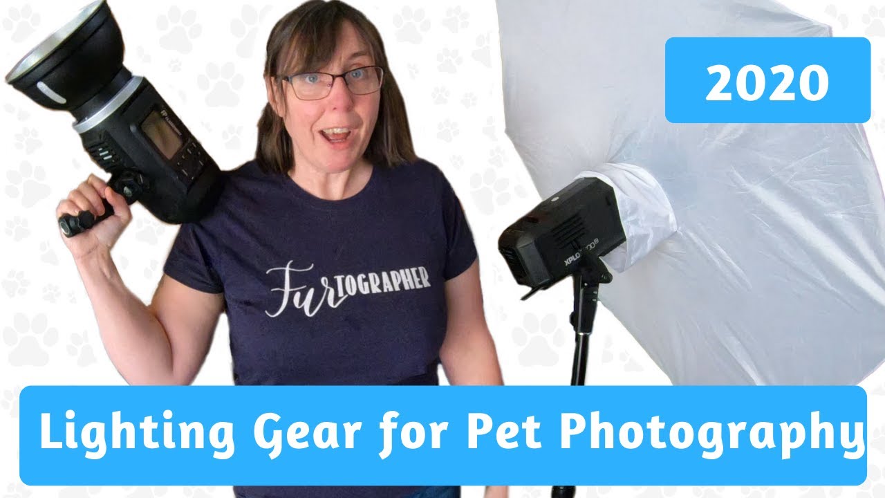 Lighting Gear for Pet Photography | 2020