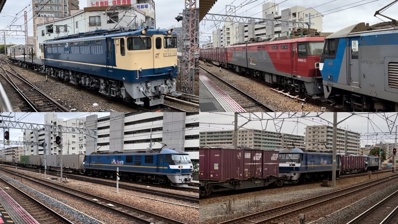 2024年2月20日の貨物列車 [JR貨物] 2073レにムドEH500-23(仙台の金太郎)付き、その他貨物列車を撮影‼️
