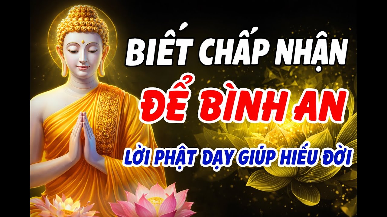 Biết Chấp Nhận Để Tâm An – Lời Phật Dạy Giúp Buông Bỏ Phiền Não Giữa Đời Vô Thường
