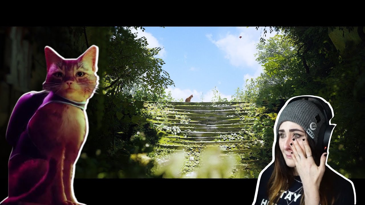 My Emotional Journey Through Stray 🐈 | Part 2