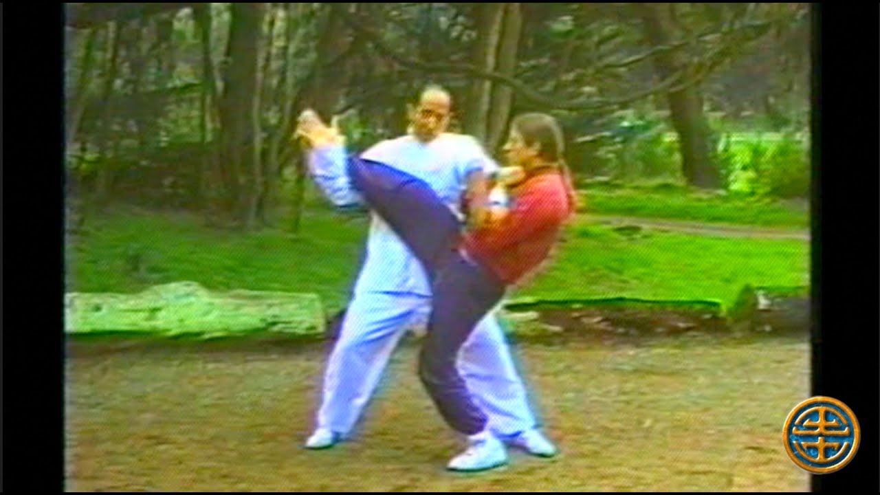 八卦掌 BAGUA ZHANG Rooster and Unicorn Palm Applications
