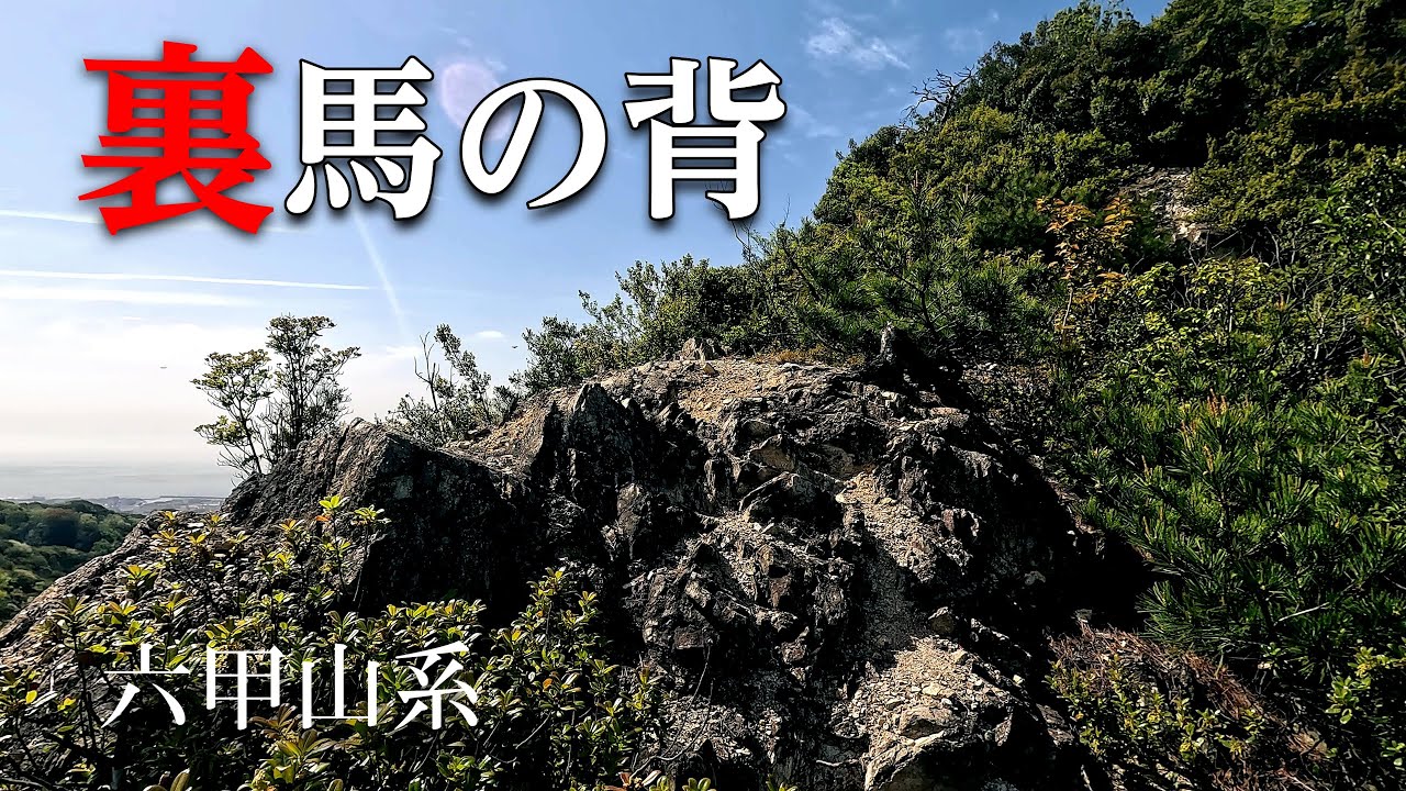 【裏⭐︎馬の背】六甲山系馬の背を横から登ったことありますか？