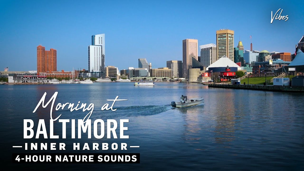 Morning at Baltimore Inner Harbor | 4-Hour Ambient Soundscape for Work, Study, Sleep & Relaxation