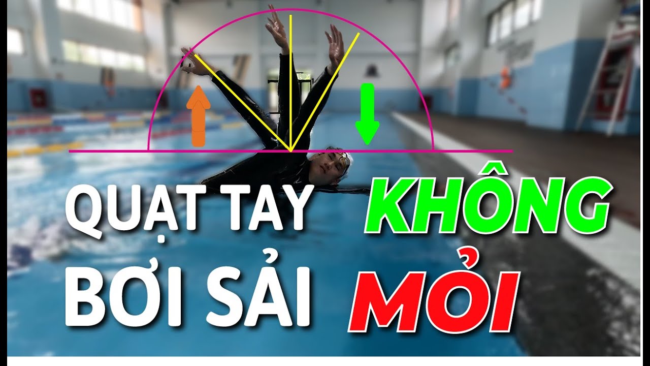 Kỹ thuật quạt tay bơi sải không mỏi