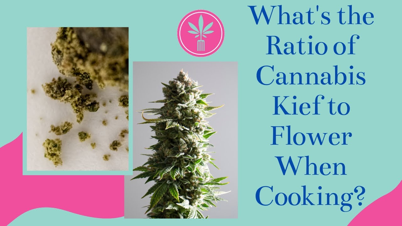 What's the Ratio of Kief to Flowers when Cooking with Cannabis?