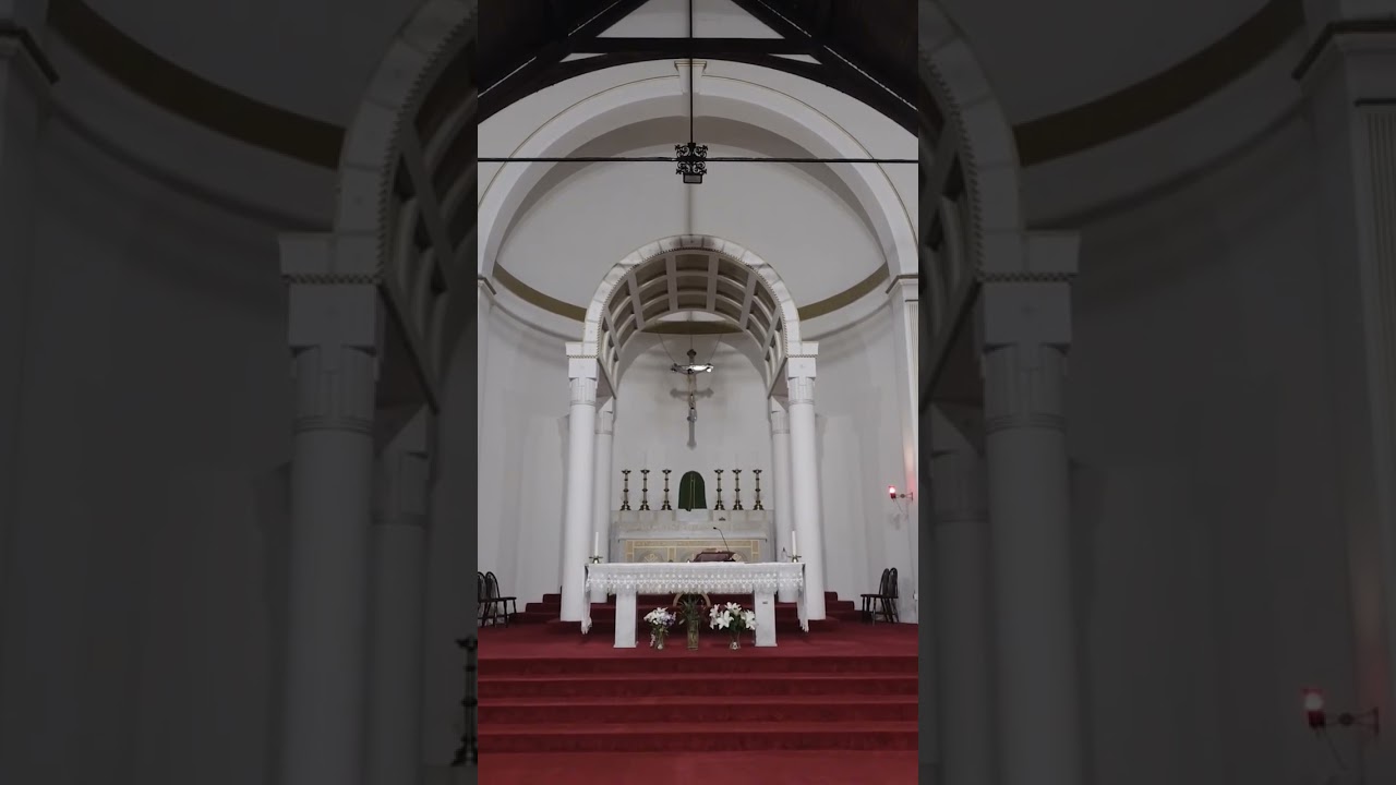 Trust Jesus today. 🙏🌟