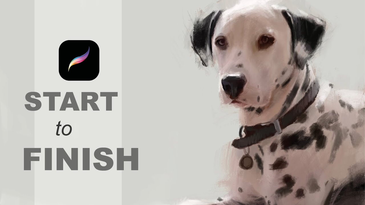 Paint Like A FINE ARTIST In Procreate. Dalmatian Dog Procreate Tutorial Using The Oil Brushes