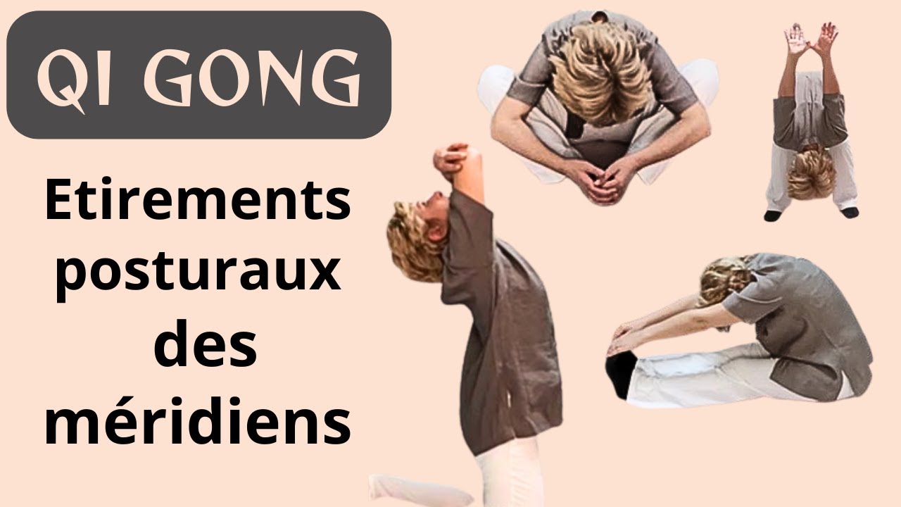 Etirements posturaux des méridiens (foie, coeur, estomac, poumons, reins)