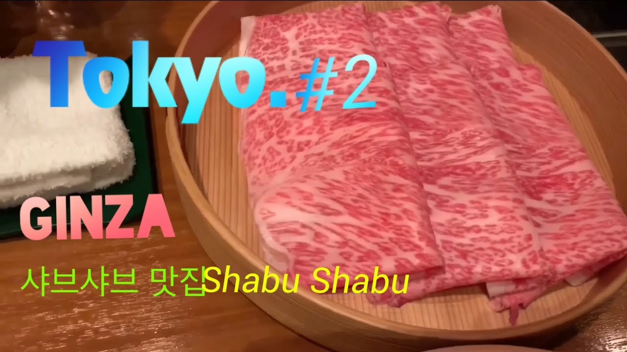 황신혜의 도쿄여행, 쇼핑, 샤브샤브 맛집: Tokyo Travel Vlog, shabushabu and Donquixote