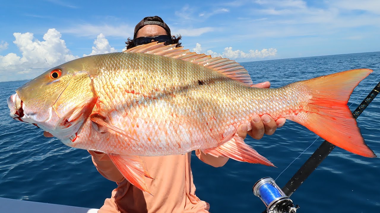 MUTTON SNAPPER fishing on my NEW BOAT!!