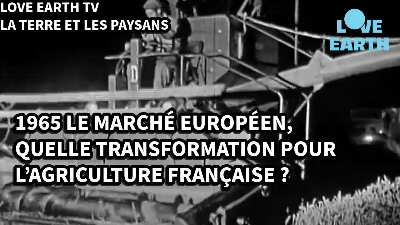 31/10/1965: Le Marché Européen et le Monde Paysan, État des Lieux