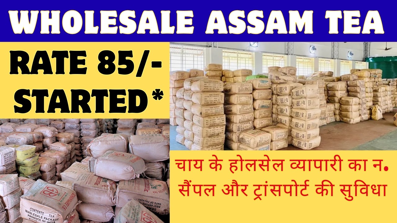 How To Start WHOLESALE Tea Business Successfully in in Low Cos I Chai Business I Tea Shop Business