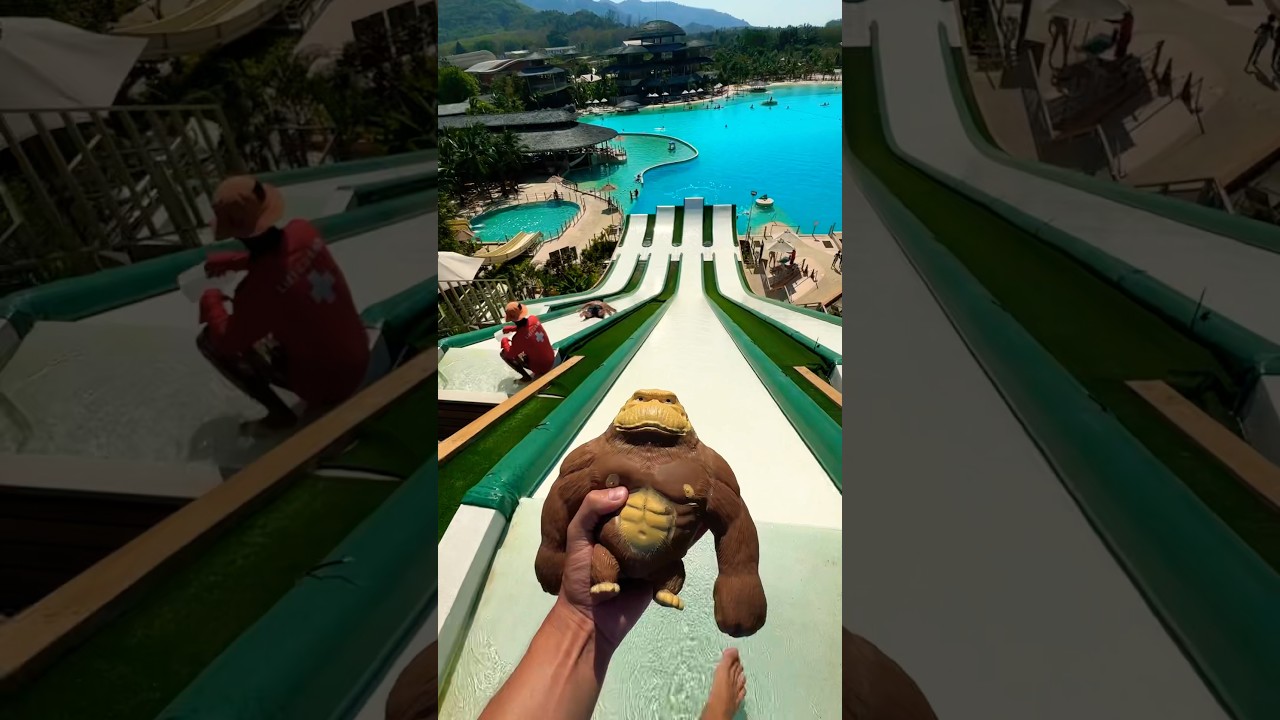 The monkey saw a 100 kg man🛁