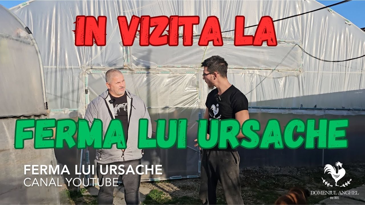 In vizita la FERMA LUI URSACHE