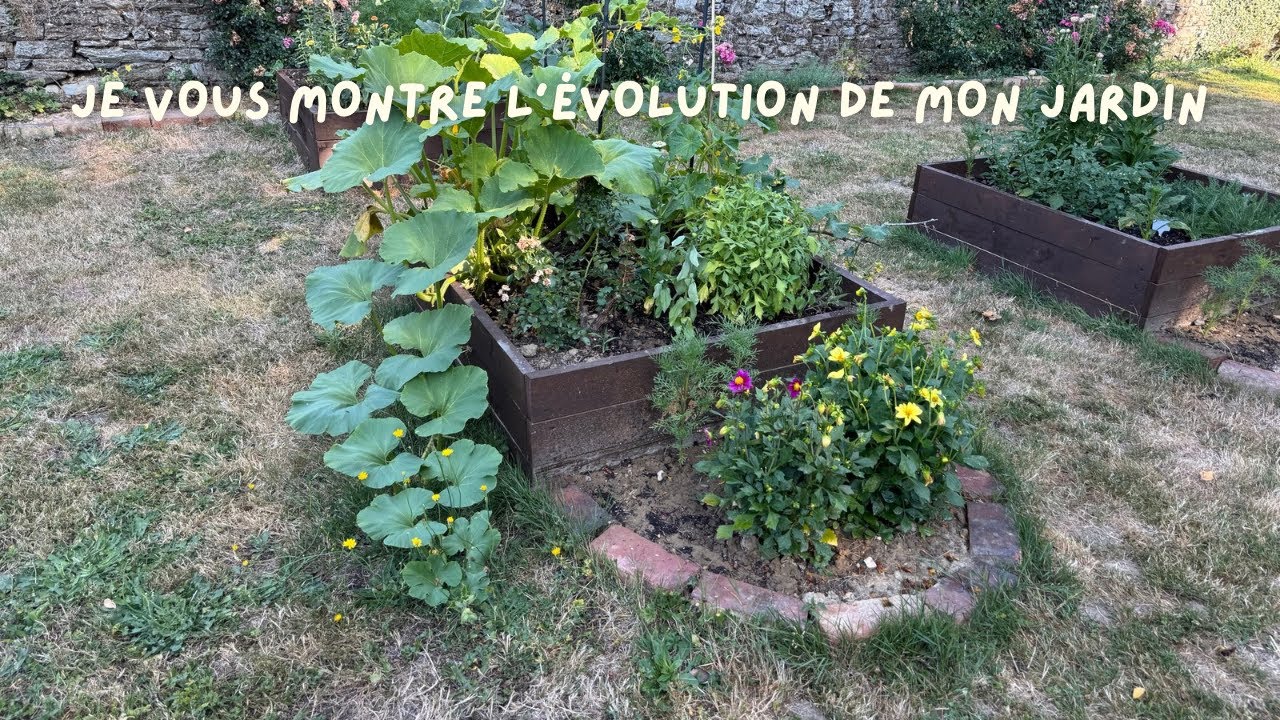 Garden tour, je vous montre l’évolution du jardin depuis quelques mois.