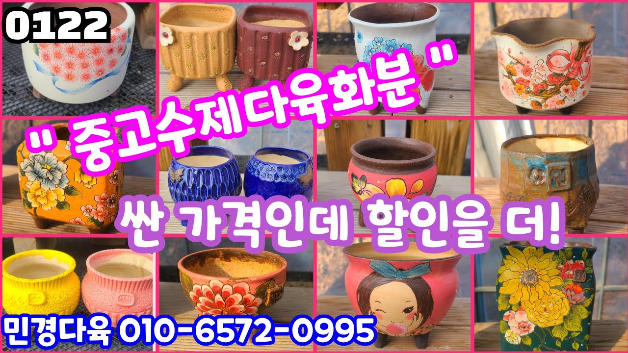 26년01월22일 #민경다육 010-6572-0995 #다육판매 #화분판매 #중고수제화분 할인에 할인을 더!
