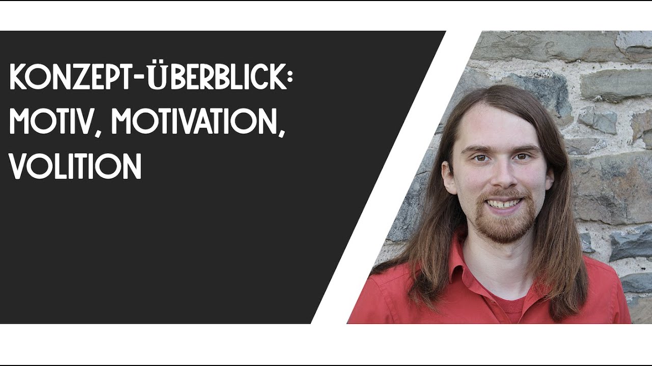 Motiv, Motivation, Volition