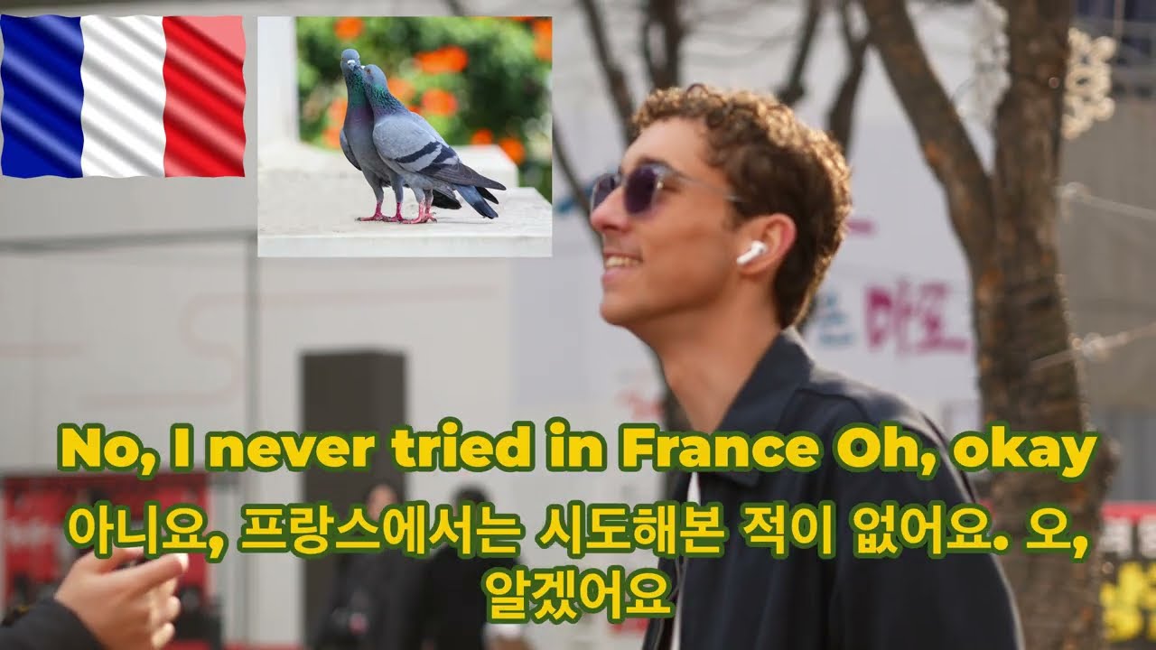 달팽이 먹는 나라 맞나요?