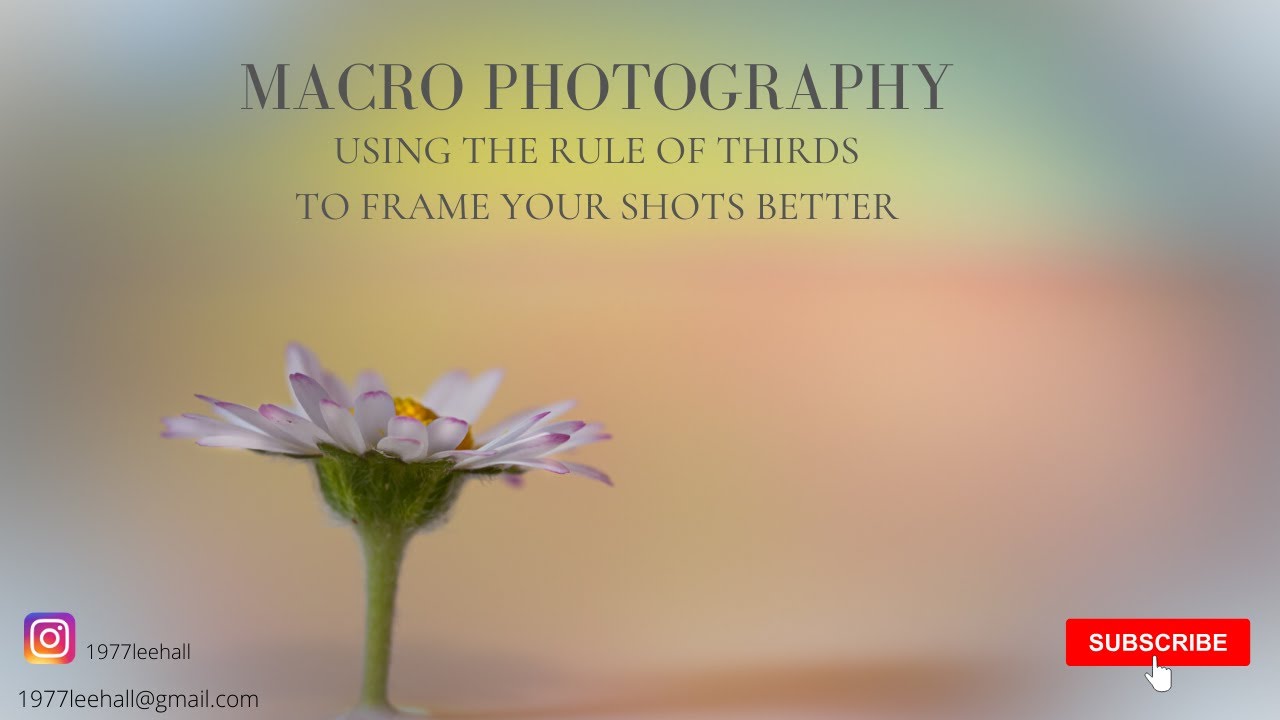 Macro photography using the rule of thirds to frame your shots.