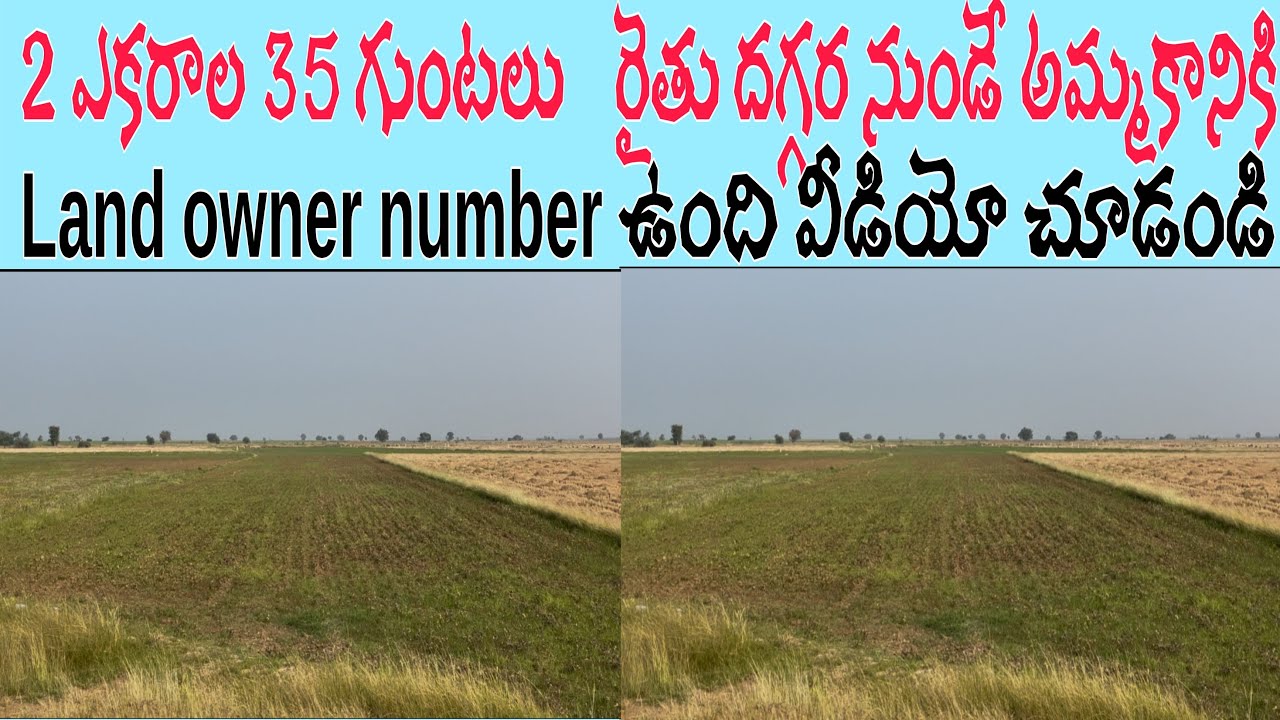  2 ఎకరాల 35 గుంటల వ్యవసాయ భూమి రైతు దగ్గర అమ్మకానికి ఉంది వీడియోలో ల్యాండ్ ఓనర్ నెంబర్ వచ్చాను..