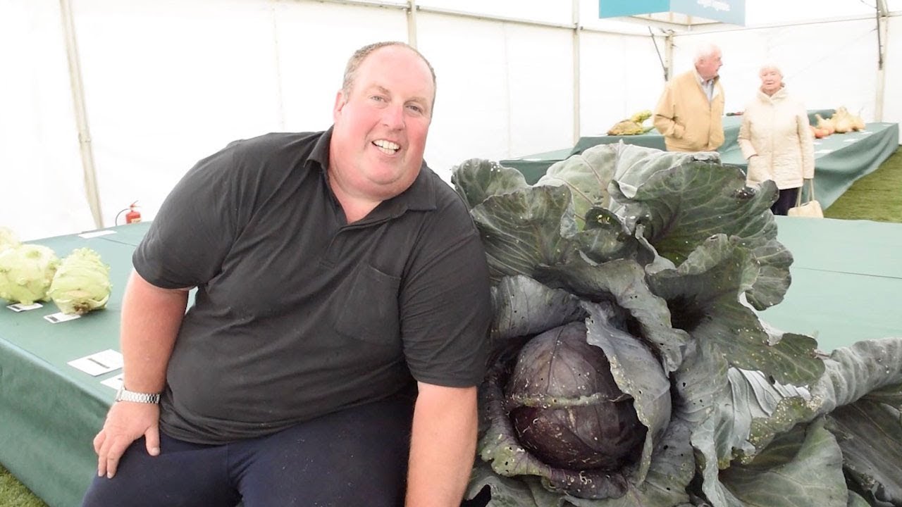 Incredible Giant Vegetable Festival Breaks Cabbage Record