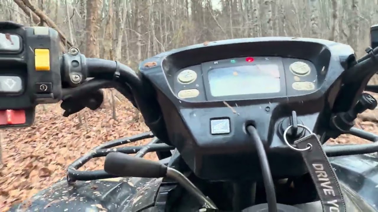 Trail Riding 