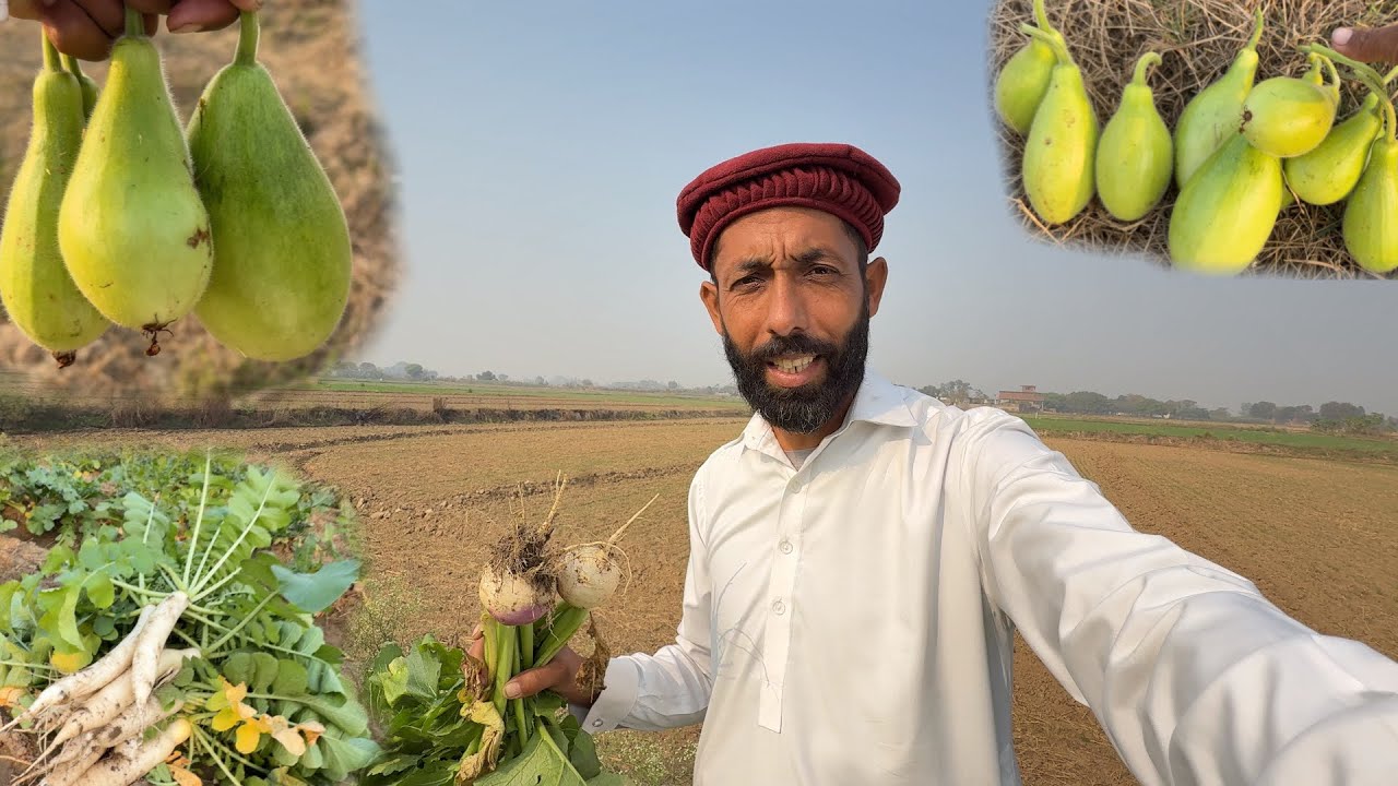 Sabzi Zohaib Pendu Kay Liye🥰😍 | Azmat 