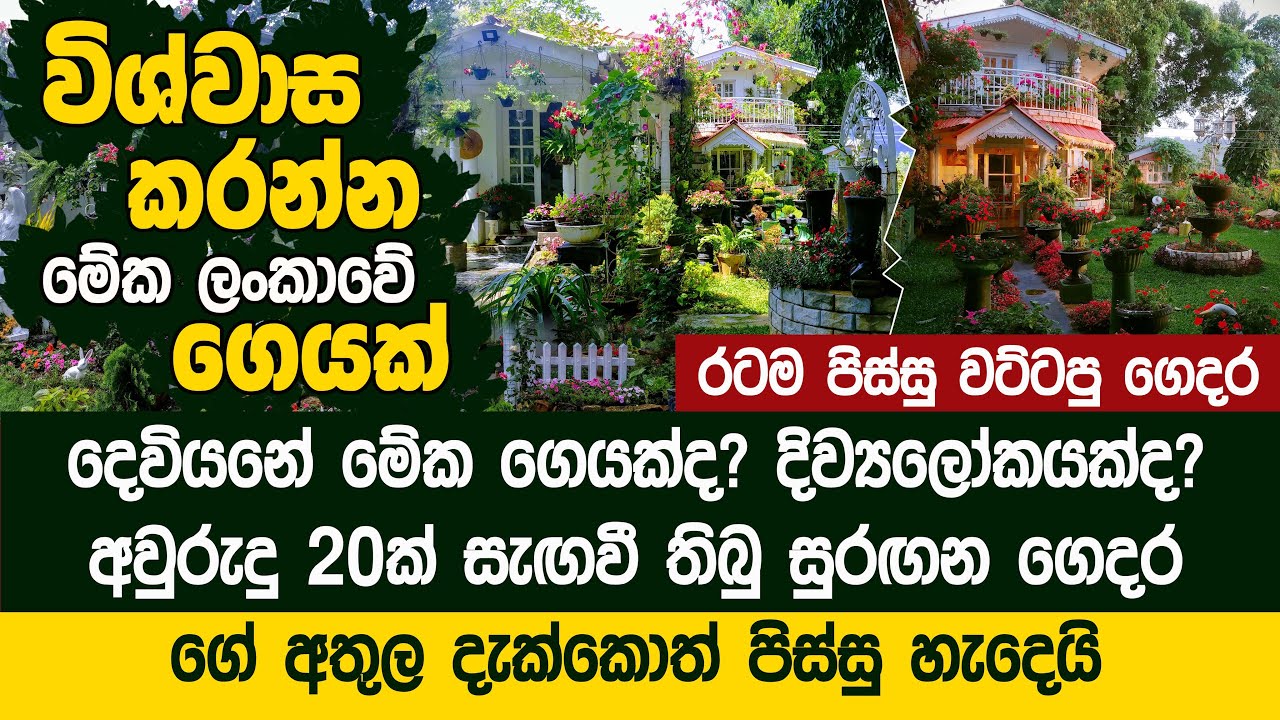 සුරංගනා ලෝකෙන් ගෙනාපු ලංකාවේ එකම ගෙදර - Dhammi Godamunne's Fairy House