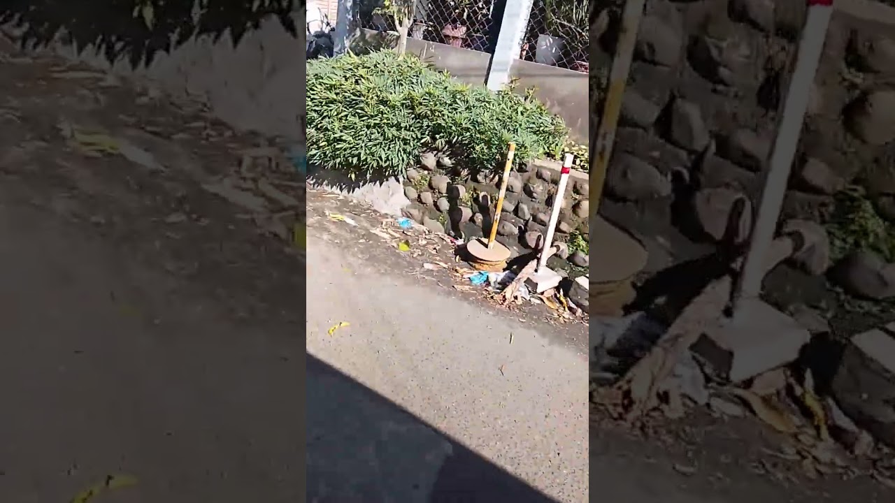 ry vlog 2025 to 2026.