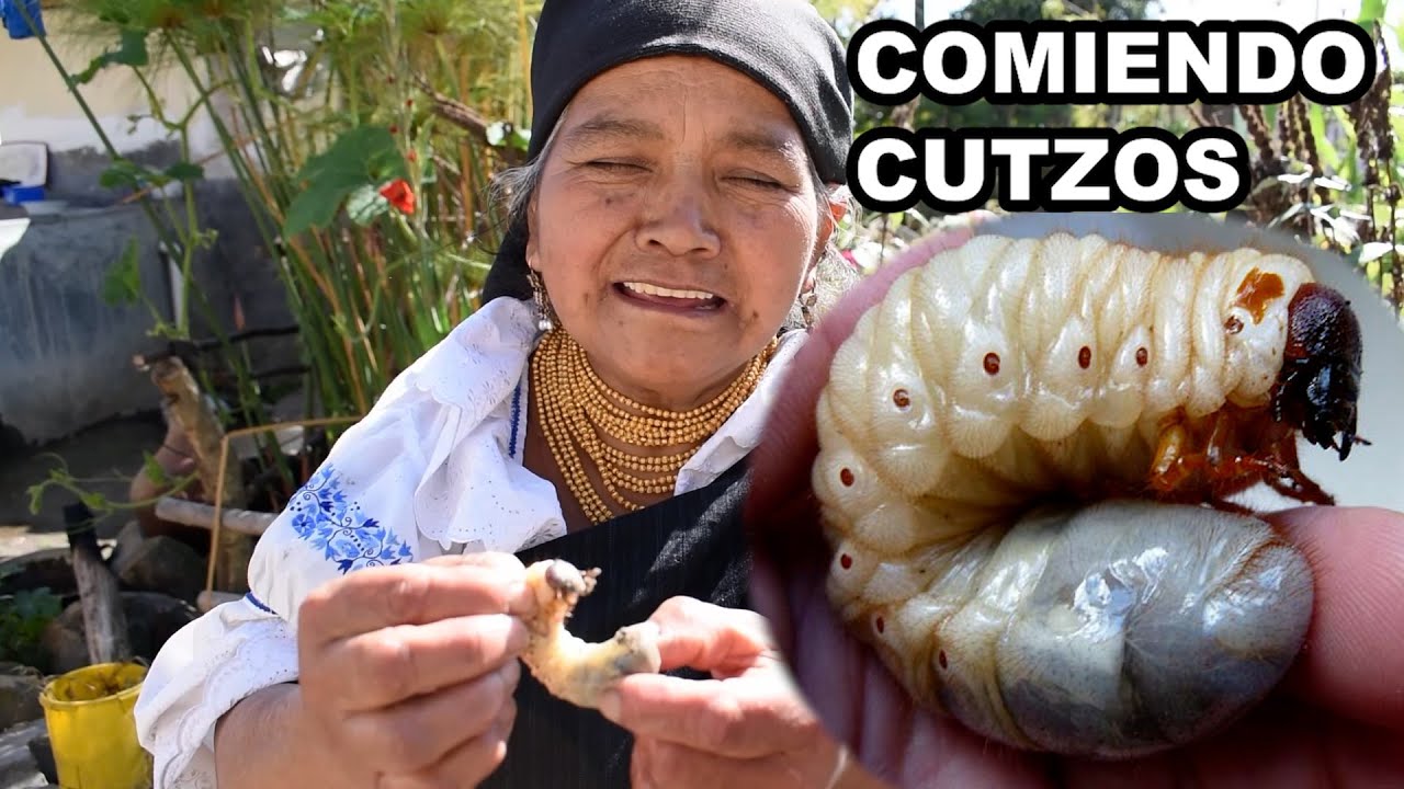 Comiendo Ricos Cutzos, larvas de Escarabjos - MAMÁ JOSEFA