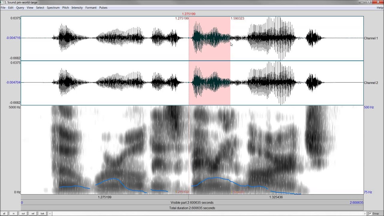 Analayze your voice - Praat Tutorial