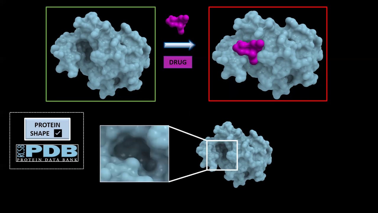 Setayesh Yazdani: the druggable human genome