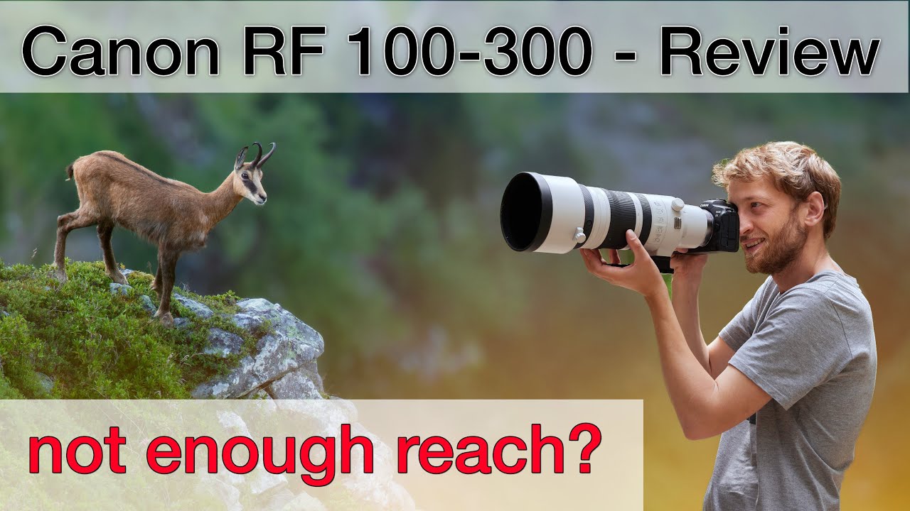 Canon RF 100-300mm f/2.8 - Useful for Wildlife Photography? Review